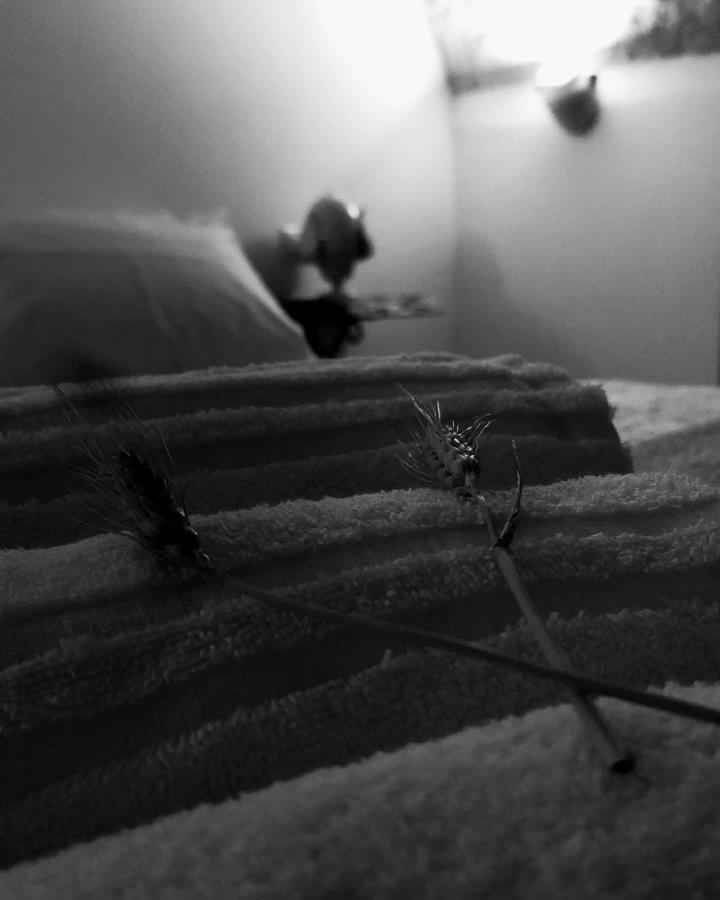 Nene' Appartement Fasano Buitenkant foto